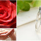 Silver Crystal Bow Knot Wedding Ring - The Jewellery House